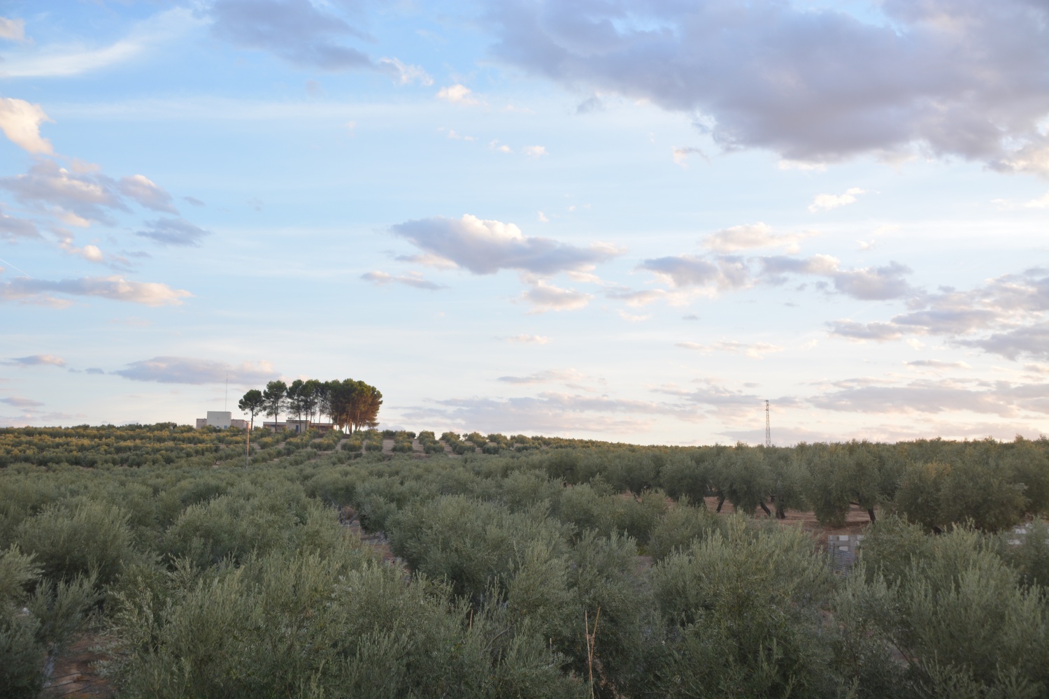 Laura O. (Spain)