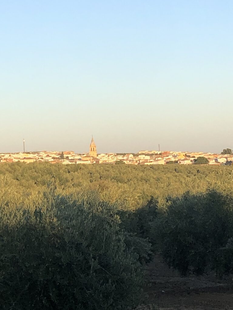 View of Arjonilla with church